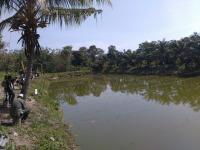 Berani Nyetrum Ikan di Kepenuhan Timur, Siap-siap Dipolisikan!